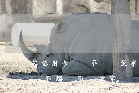 欠信用卡兩萬不還會坐牢嗎(欠信用卡2萬多還不起會不會坐牢)