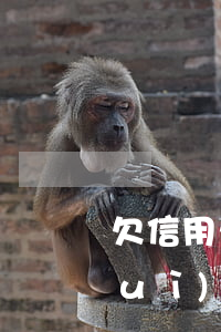 欠信用卡兩萬元(欠信用卡兩萬元沒還會(huì)封查老家自建房嗎?)