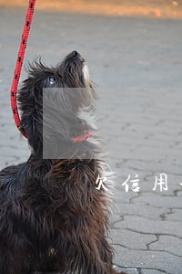 欠信用卡兩萬壓力大嗎(欠信用卡兩萬會被抓嗎)