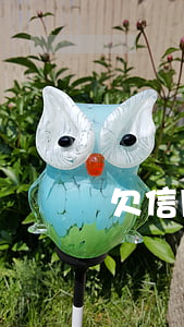 欠信用卡兩萬多（信用卡欠兩萬九）