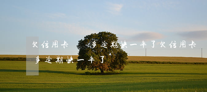 欠信用卡兩萬多逾期快一年了(欠信用卡兩萬多逾期快一年了)