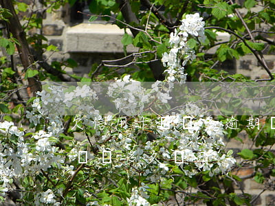欠信用卡兩萬多逾期還不上怎么辦（信用卡欠兩萬多久還清）