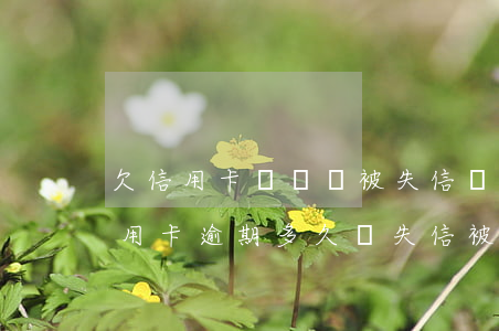 欠信用卡兩萬會被失信執(zhí)行人（信用卡逾期多久會失信被執(zhí)行人）