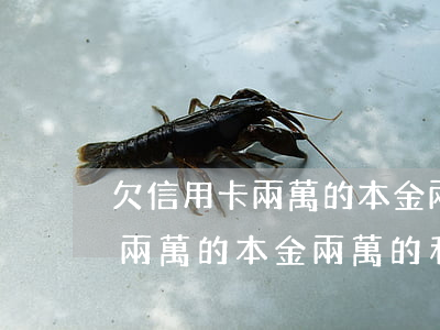 欠信用卡兩萬的本金兩萬的利息-欠信用卡兩萬的本金兩萬的利息是多少