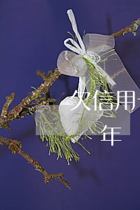 欠信用卡兩萬逾期半年(信用卡欠款兩萬逾期兩年)