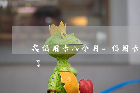 欠信用卡八个月-信用卡8千块,5个月不还了