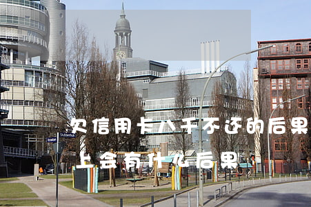 欠信用卡八千不还的后果(信用卡欠七万还不上会有什么后果)