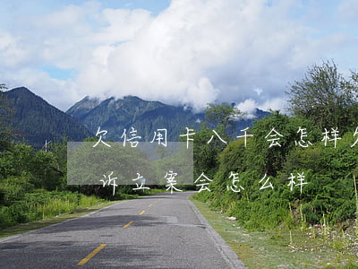 欠信用卡八千会怎样(欠信用卡八千多块钱 起诉立案会怎么样)
