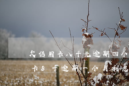 欠信用卡八千元逾期四个月会不会坐牢（信用卡8千逾期一个月利息多少）