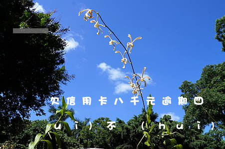 欠信用卡八千元逾期四個(gè)月會(huì)不會(huì)坐牢（信用卡九千逾期四個(gè)月）