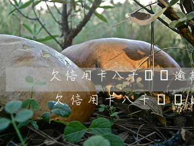 欠信用卡八千塊錢逾期法務(wù)部管嗎（欠信用卡八千塊錢逾期法務(wù)部）