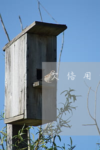 欠信用卡八千多(欠信用卡八千多能判刑嗎)