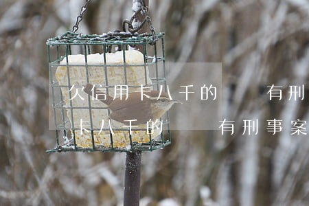 欠信用卡八千的錢會有刑事案底嗎-欠信用卡八千的錢會有刑事案底嗎知乎
