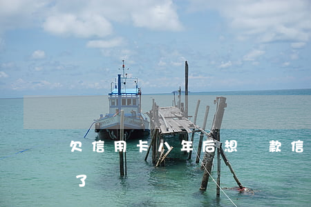 欠信用卡八年后想還款（信用卡用了八年逾期了）