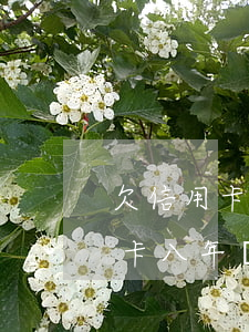 欠信用卡八年無力償還自首會怎樣-欠信用卡八年無力償還自首會怎樣處罰