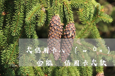 欠信用卡八萬(wàn)可以貸公積金嗎(公積金能還信用卡欠款嗎)