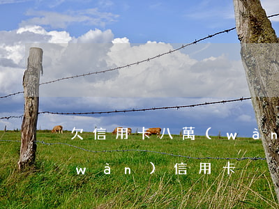 欠信用卡八萬(wàn)多怎么辦 欠8萬(wàn)信用卡