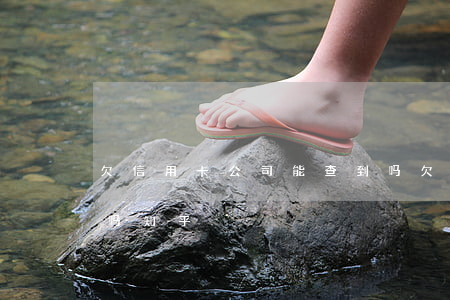 欠信用卡公司能查到吗(欠信用卡公司能查到吗知乎)