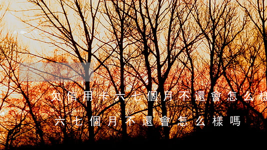 欠信用卡六七個月不還會怎么樣-欠信用卡六七個月不還會怎么樣嗎