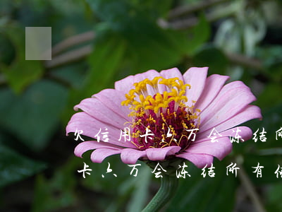欠信用卡六万会冻结所有储蓄卡吗-欠信用卡六万会冻结所有储蓄卡吗知乎