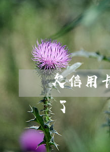 欠信用卡六十萬人死了(欠信用卡六十萬人死了)