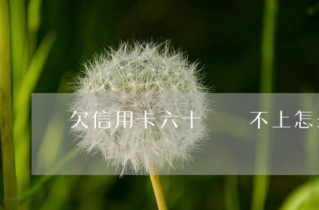 欠信用卡六十萬還不上怎么樣辦
