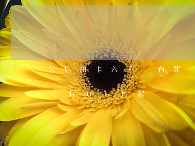 欠信用卡六千塊有罪嗎-欠信用卡六千多會(huì)起訴嗎