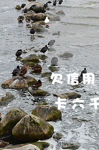 欠信用卡六千多會(huì)坐牢嗎（欠信用卡六千多）