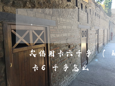 欠信用卡六千多會(huì)起訴嗎（欠信用卡6千多怎么還）