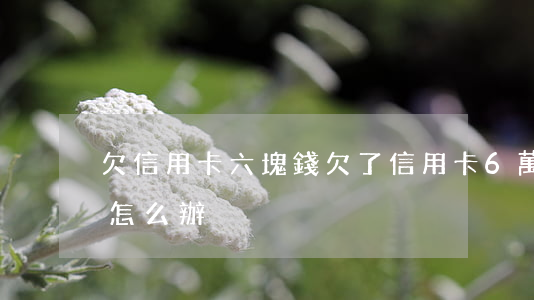 欠信用卡六塊錢(欠了信用卡6萬(wàn)怎么辦)