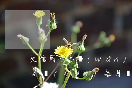 欠信用卡六萬(wàn)多怎么還(欠信用卡6萬(wàn),每月還500可以嗎)