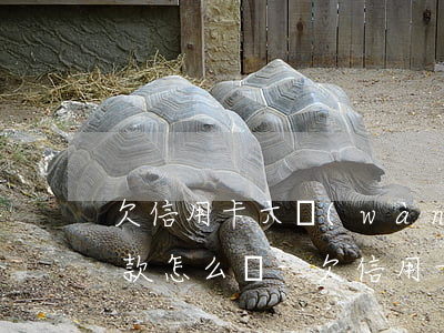 欠信用卡六萬(wàn)多無(wú)力還款怎么辦-欠信用卡六萬(wàn)多無(wú)力還款怎么辦呢