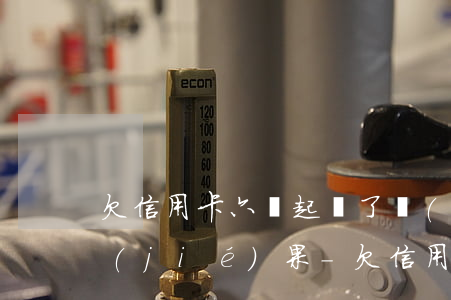 欠信用卡六萬起訴了會(huì)是什么結(jié)果-欠信用卡六萬起訴了會(huì)是什么結(jié)果呢