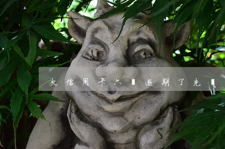 欠信用卡六萬逾期了先還二萬行嗎