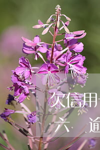 欠信用卡六萬逾期兩年還多少錢-欠信用卡六萬逾期兩年還多少錢利息