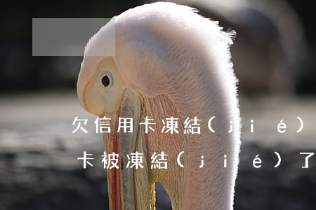 欠信用卡凍結(jié)其他卡(有一張信用卡被凍結(jié)了還可以貸款嗎?)
