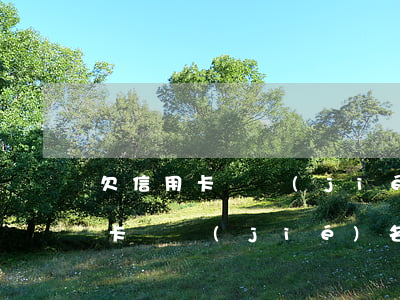 欠信用卡凍結(jié)名下賬戶-欠信用卡凍結(jié)名下賬戶怎么辦