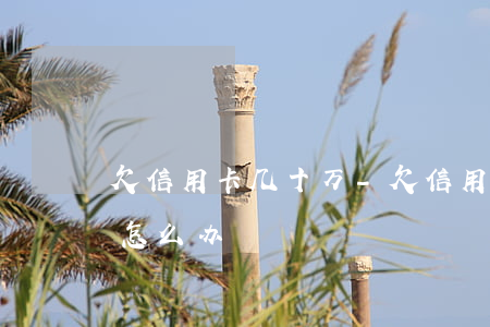 欠信用卡几十万-欠信用卡几十万无力偿还怎么办