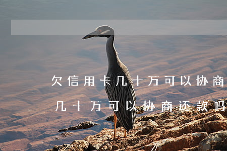 欠信用卡几十万可以协商还款吗-欠信用卡几十万可以协商还款吗知乎