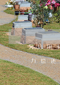 欠信用卡几十万怎么办（信用卡欠款几十万无力偿还人死了还用还吗）