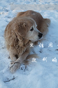 欠信用卡几十元当时忘记还,后来还了,买房贷款影响吗（信用卡欠几块钱忘还）