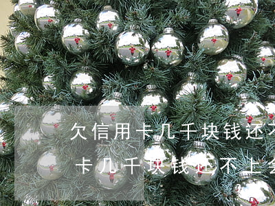 欠信用卡几千块钱还不上会坐牢吗-欠信用卡几千块钱还不上会坐牢吗知乎