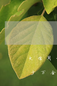 欠信用卡几千逾期二十天(十张信用卡欠了二十万全逾期了)