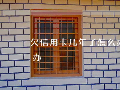 欠信用卡几年了怎么办（欠信用卡好几年怎么办）