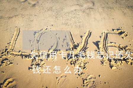 欠信用卡几毛钱忘记还(欠信用卡好多钱又没钱还怎么办)