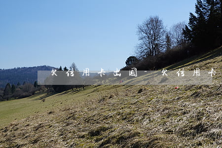 欠信用卡 出国-欠信用卡出国了怎么办