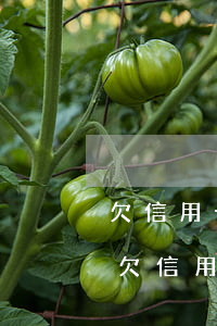 欠信用卡出庭和不出庭有區(qū)別嗎-欠信用卡出庭和不出庭有區(qū)別嗎知乎