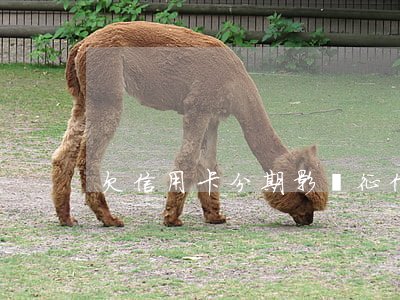 欠信用卡分期影響征信嗎（欠信用卡而分手）