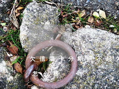 欠信用卡分期還不起(欠信用卡分期還不起會怎么樣)