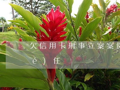 欠信用卡刑事立案案例(欠信用卡刑事責(zé)任)